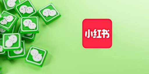 SME Sharing Session: Chinese Marketing & Risk Protection Strategies