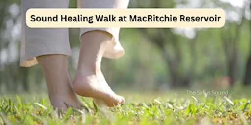 Sound Healing Nature walk at MacRitchie Reservoir
