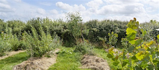 Agroforestry Workshop - Design, Plant and Establish Agroforestry Systems