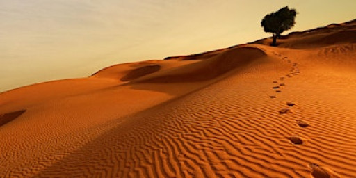 Retracing Our Footsteps: Minding our Language by Bhuchar Boulevard