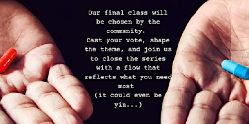 Yogi’s Choice – Hive Movement Yoga