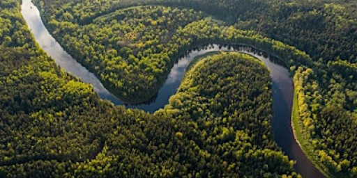 Climate Justice, Finance and Our Common Future at COP30: Panel Discussion