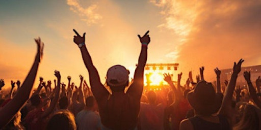 Island Music Festival  VIP Package 2025