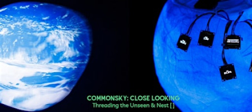 CommonSky Close Looking: Threading the Unseen & Nest [ ]