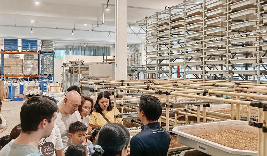 90mins Insect Farm Tour: From Food Waste to Wonder!