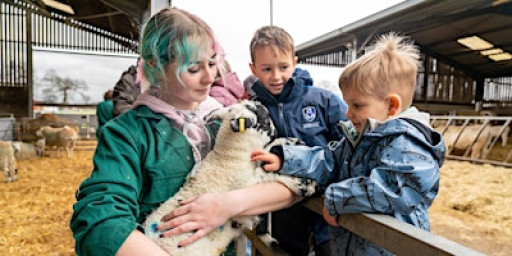 Lambing Sunday including Animal Unit Open Day – Broomfield Hall