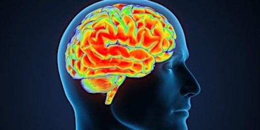 Healthy Minds Together