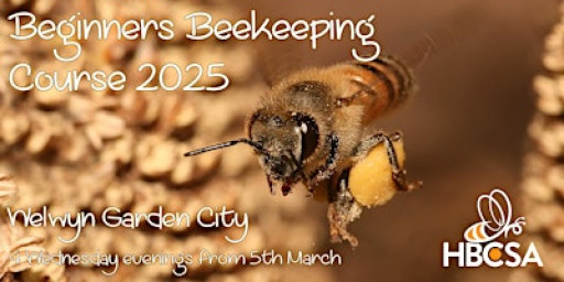 Beginners Beekeeping Course 2026