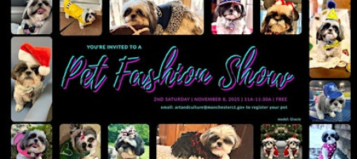 Domestic Pet Fashion Show