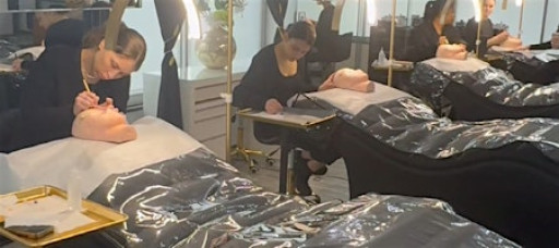 Intro - PMU Brows Workshop