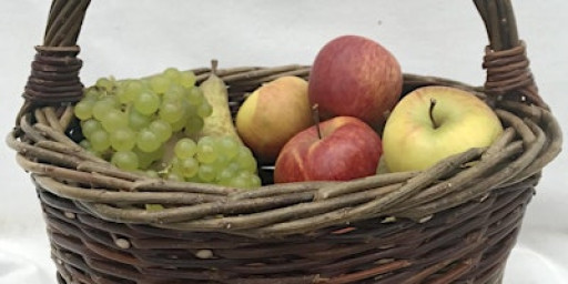 Willow Beginners Round Basket Workshop with Sarah Le Breton