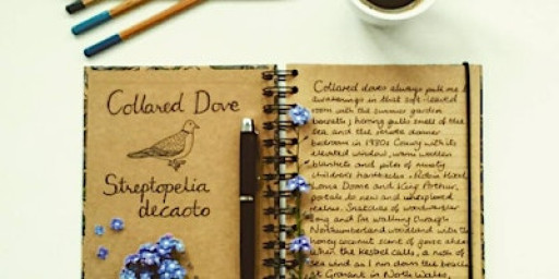 Introduction to Nature Writing with Nic - 27th February 2026 PP