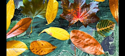 AUTUMN MAGIC Creative Workshop presented by Friends of Big Wood KIDS