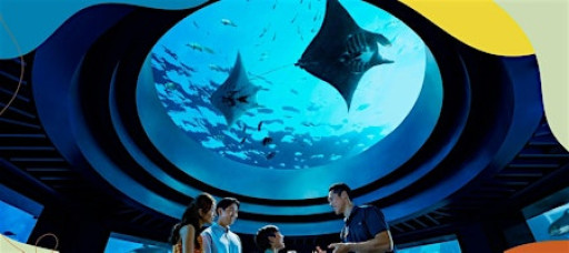 Blue Ocean, Green Actions