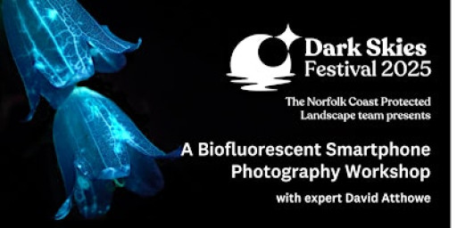 A Biofluorescent Smartphone Photography Workshop