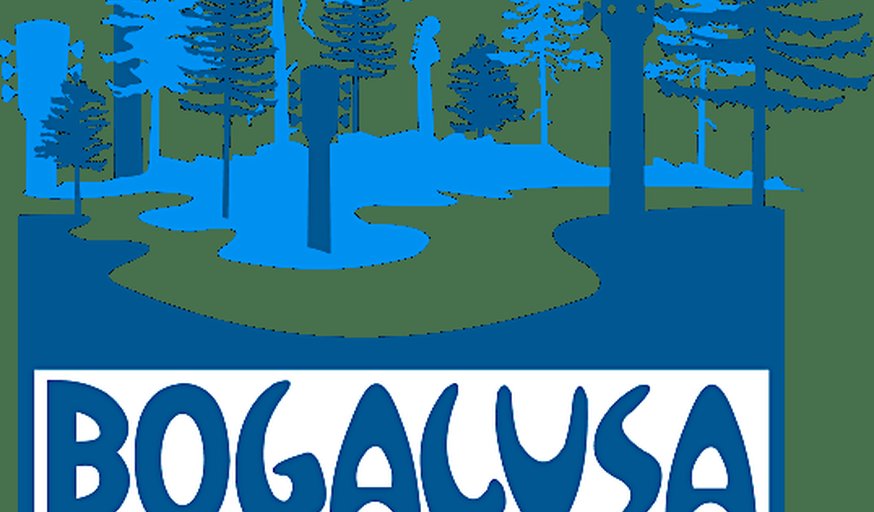 2026 Bogalusa Blues & Heritage Festival