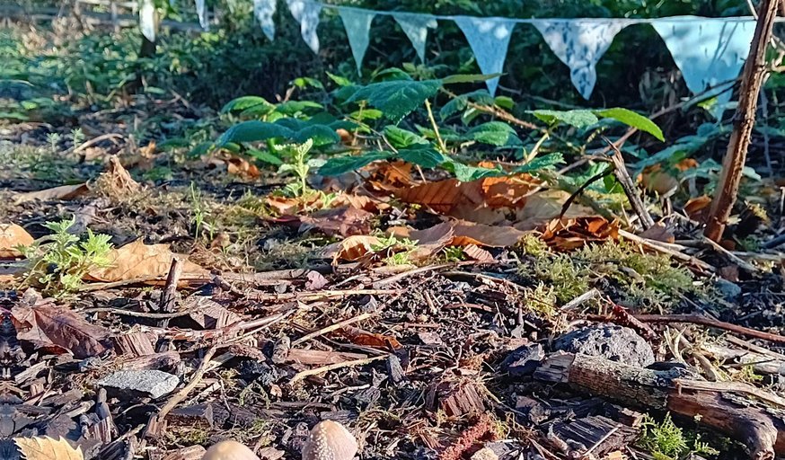 Saturday Morning Forest School- Forest Families