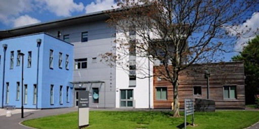 Beyond Care: Elevating Experience  in Mental Health Physiotherapy CPMH