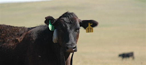 Tri-State Beef Technology Series @ Ithaca, NE [MC-03984-01]