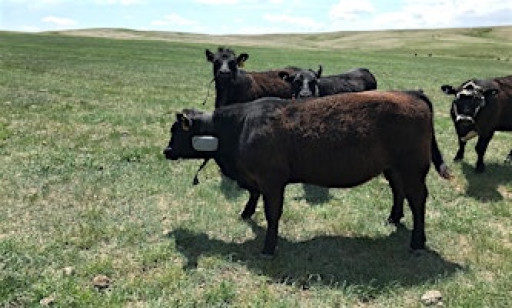 Tri-State Beef Technology Series @ Red Oak, IA [MC-03984-03]