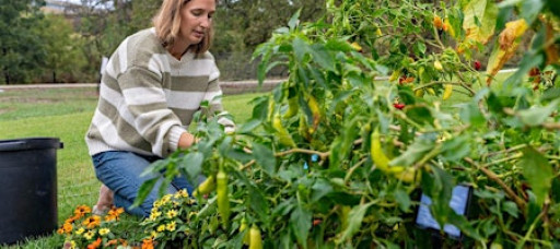 Better Your Days, The Mediterranean Way