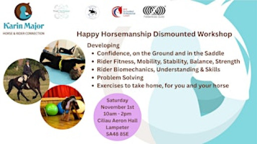 Happy Horsemanship Dismounted Workshop