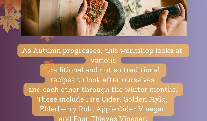 Winter Wellness Workshop