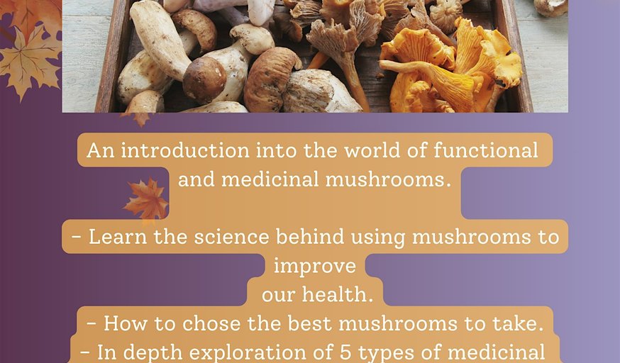 Mushrooms For Health Workshop