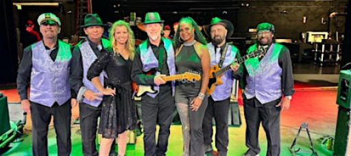 The Miami Disco Band