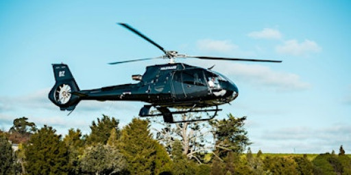 Black History Helicopter Tour of London