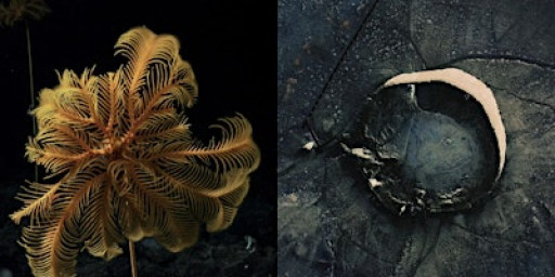 Baltic Preview: For All At Last Return / Saodat Ismailova