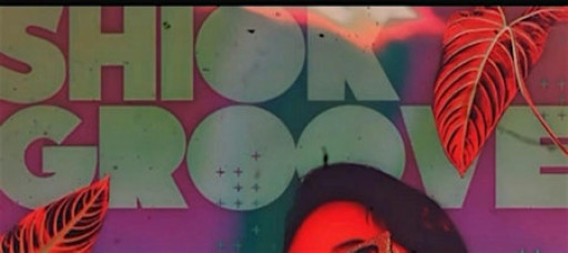 SHIOK GROOVE : Afrohouse & Drum n Bass Party