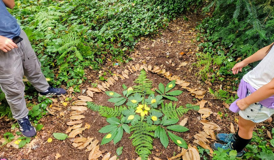 Nature Art Workshop