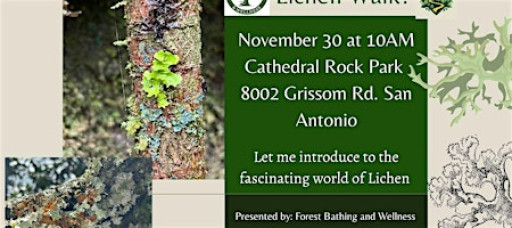 Lichen Walk
