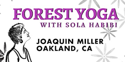 Forest Yoga with Sola Habibi