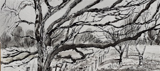 Weekend Art Workshop: Exploring Trees in Art