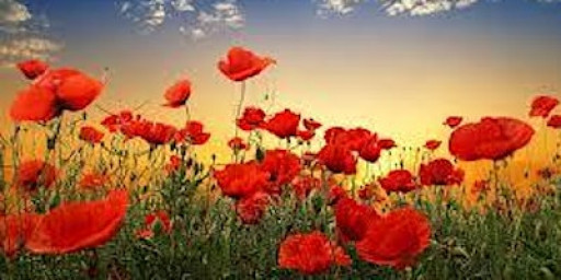 Bring Him Home : A Remembrance concert with Dishforth Military Wives Choir