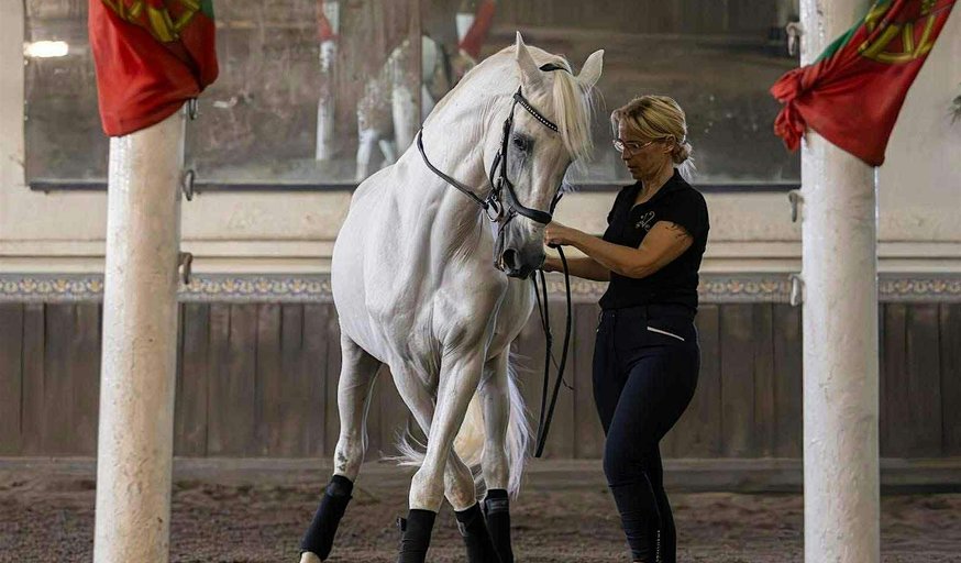 In-Hand workshop with Sofia Valença and Charlotte Wittbom