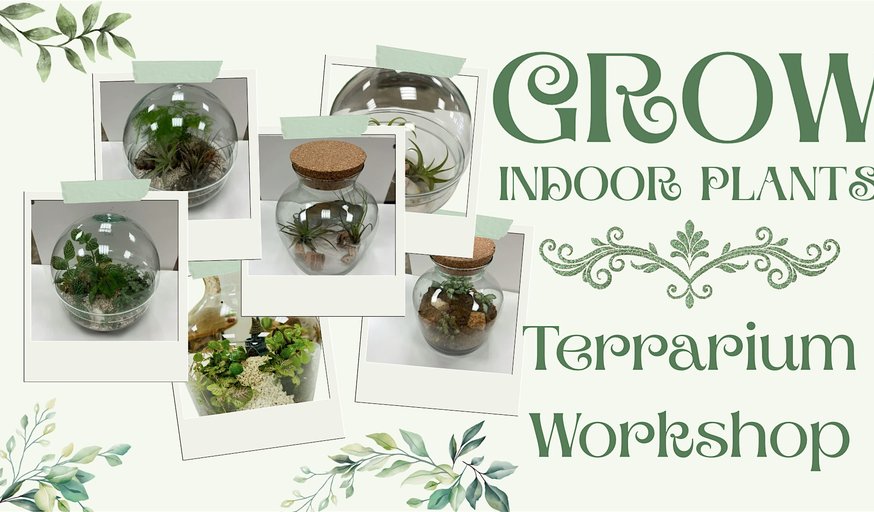 Terrarium Workshop