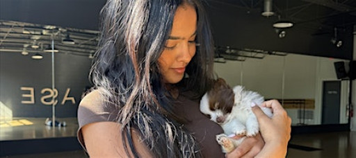 PUPPY YOGA DETROIT