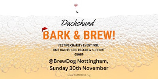 Festive Dachshund Bark & Brew! Charity Event for DMT DRSG