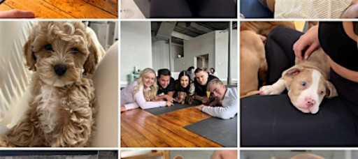 Yoga with Puppies - October 25th
