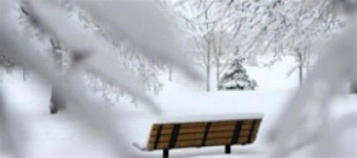 Wellness Seminar - The Art of Living for Winter -  Nov 2, 2025, 2:30 PM