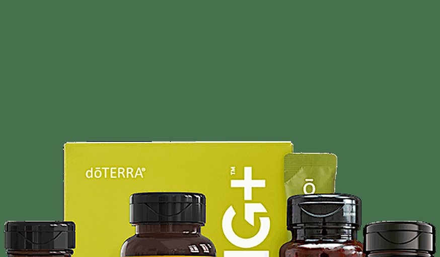 The Wellness Experience