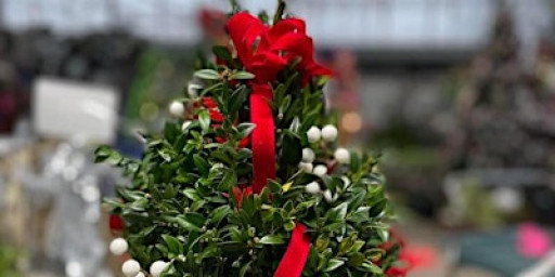 Boxwood Tree Workshop