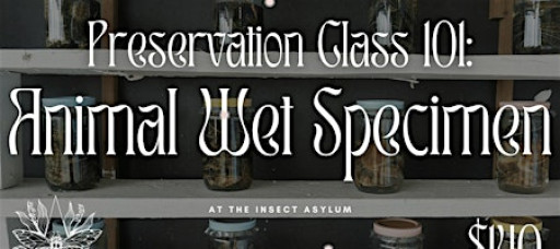 Wet Specimen Workshop