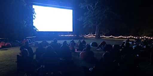 Hornet Film Festival