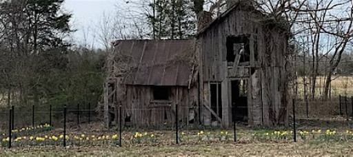 Naturalist Walk: Old Home Sites