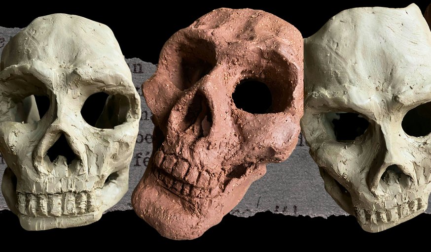 Skull Sculpture Workshop