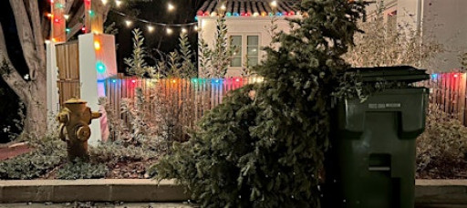 The Day After Christmas- Photo Show